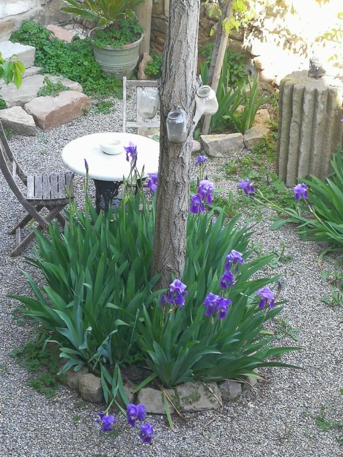 Bed and Breakfast La Casa Dels Ocells (Adults Only) Granollers de Florejacs Zewnętrze zdjęcie